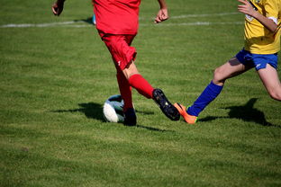 米兰体育-世界皮划艇世界杯中国男队勇摘银牌，世界皮划艇冠军男子